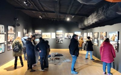 Exposición temporal